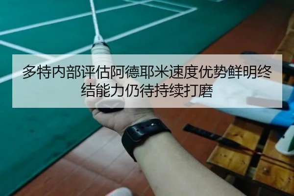 多特内部评估阿德耶米速度优势鲜明终结能力仍待持续打磨 - leyu