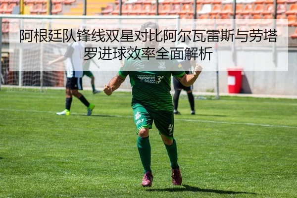 阿根廷队锋线双星对比阿尔瓦雷斯与劳塔罗进球效率全面解析 - leyu