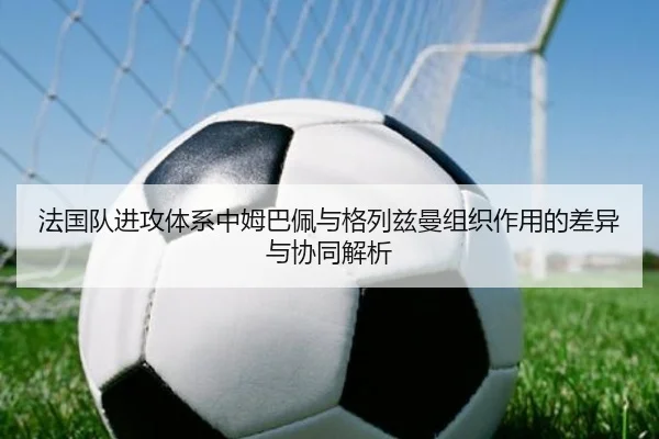 法国队进攻体系中姆巴佩与格列兹曼组织作用的差异与协同解析 - leyu